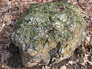 Typical outcrop at Flint Ridge