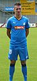 Vedad Ibisevic 19