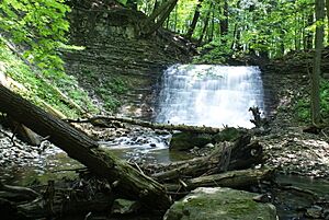 Washboard Falls (Medium Shot).JPG