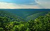 Whitehead Vista, Elk State Forest, Cameron County, PA.jpg