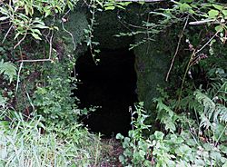 William Murdoch's Cave entrance, Bello Mill, Lugar, East Ayrshire