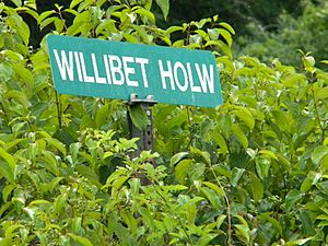 Street sign for Willibet West Virginia
