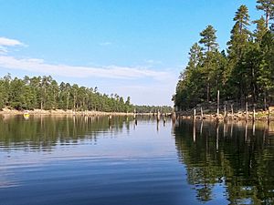 Willow Springs Lake on the Mogollon Rim is also popular for fishing