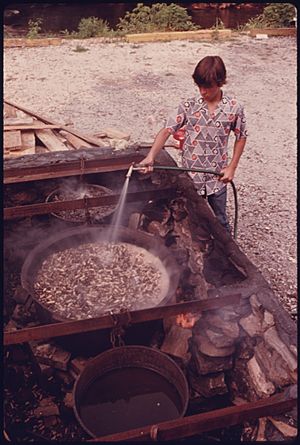 YOUNGSTER SPRAYS WATER ON BOILING PEANUTS IN HELEN, GEORGIA NEAR ROBERTSTOWN. HELEN WAS A TYPICAL SMALL MOUNTAIN... - NARA - 557700