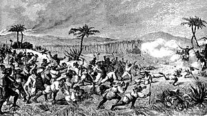 "From The Revolt on St. Croix". Illustreret Tidende, Nov. 1878