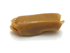 2021-07-08 09 37 06 An individual Werther's Original Soft Caramel candy in the Franklin Farm section of Oak Hill, Fairfax County, Virginia