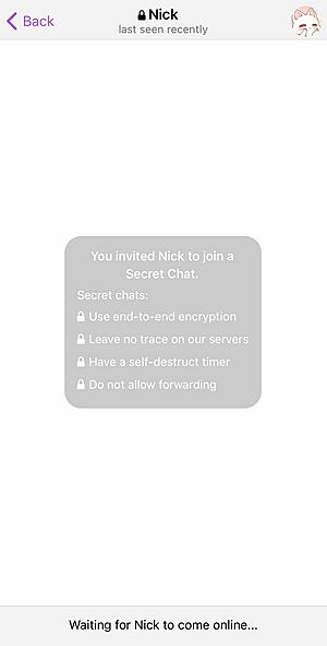 A "secret chat" confirmation notice in Telegram