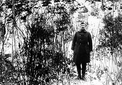 Alvin C. York shows hill on which raid took place HD-SN-99-02157