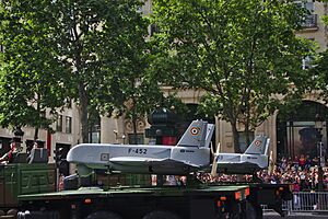 Bastille Day 2015 military parade in Paris 32