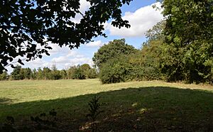 Brampton Meadow 2
