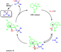 CBS mechanism10
