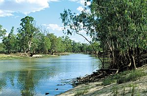 CSIRO ScienceImage 4403 View of Punkah Creek Chowilla SA