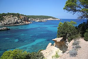 Cala de Portinatx, Ibiza (1672988340)