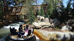 Calico River Rapids 1.jpg