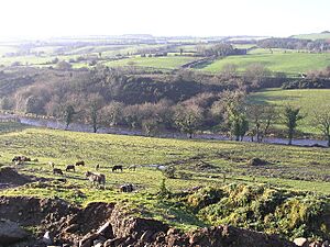 Carrigans Townland - geograph.org.uk - 87992
