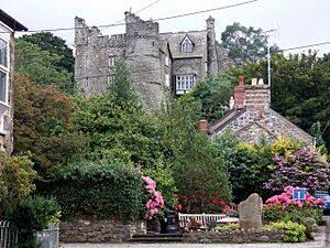 Castell Drefdraeth-Newport castle in summertime - geograph.org.uk - 516303