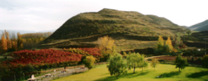 Cerro Molino (El Risco)