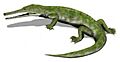 Champsosaurus BW