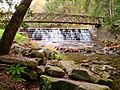 Clear Creek State Park Steps