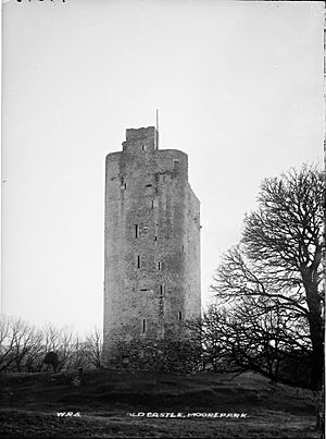 Cloghleigh Castle, Moorepark, Fermoy, Co. Cork (37942094051).jpg