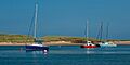 Coquet estuary 1