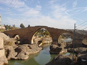 Delal Bridge in Zakho (201)