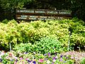E.G. Waterhouse National Camellia Garden (entry sign)