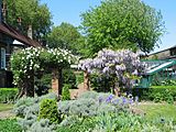 Edwardian garden (horizontal)