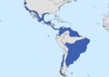 Elanus leucurus range