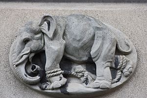 Elephant by Phyllis Bone