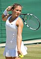 Errani WM14 (9) (14456955920)