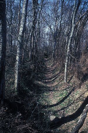 FT. GRANGER
