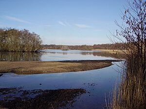 Fleet Pond from Sandy Bay - geograph.org.uk - 714789