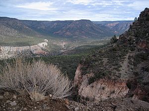 Fossil Creek Canyon, AZ