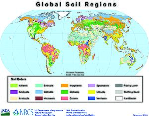Global soil regions