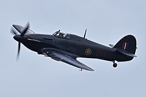 Hawker Hurricane IIc ‘PZ865 ZY-V’ (51490062263)