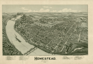 Homestead map from the darlington collection