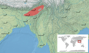Hylarana garoensis map-fr.svg