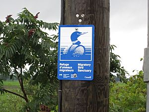 Insigne refuge d'oiseaux migrateur