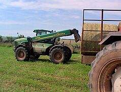 Loading hay bales - geograph.org.uk - 901170