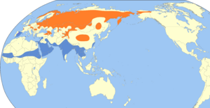 Luscinia svecica map.svg
