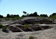 Mesa Grande Hohokam Ruins Mesa Arizona