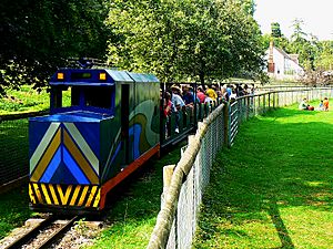 Miniature train, Beale Park, Lower Basildon - geograph.org.uk - 2048102.jpg