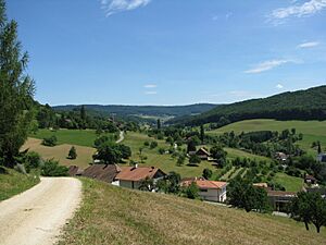 Moehlintal