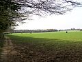 Near Bibbsworth Hall Farm - geograph.org.uk - 160357