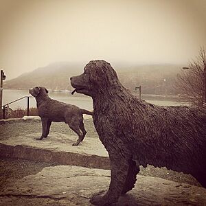 Newfoundland and Labrador dog statues in St. John's Harbourside Park, created by Luben Boykov in 2002