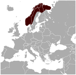 Norway Lemming Lemmus lemmus distribution map.png