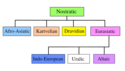 Nostratic tree