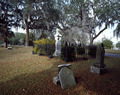 Old City Cemetery, where slaves and slaveholders, Union and Confederate soldiers are all buried, Tallahassee, Florida LCCN2011634593f