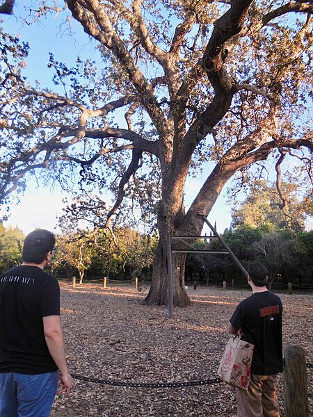 Old oak orcutt